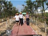 安全隐患清剿行动护航推美丽乡村建设