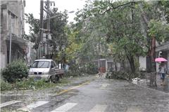 到处积水 树木被吹倒