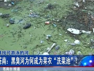 龙港黑臭河为何成为菜农“洗菜池”？
