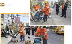 龙港交警“净停”行动出击，6869起违停被查处！