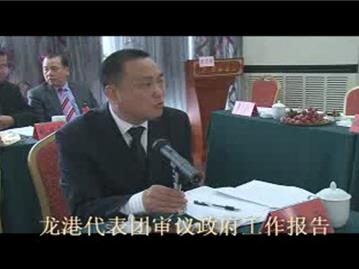 龙港代表团审议政府工作报告2