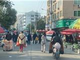 市民反映：龙港洪宫路路边菜场该整治