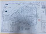 苍南县龙港城市建设投资有限 公司建设的项目规划许可批前公示