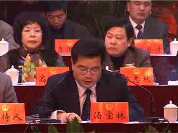 县委常委、镇委书记汤宝林在龙港镇九届人大二次会议上的讲话 