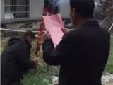 苍南一夫妇赌博被举报 竟烧香诅咒举报人断子绝孙
