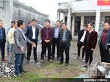 龙港镇开展农村生活污水治理督查汇报会