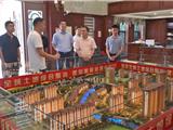 省委办公厅来龙港调研城乡融合发展、基层治理现代化等工作