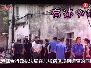 【百姓汇-第29期：龙港综合行政执法局拆违在行动】