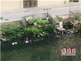 曝光台：龙港这位妇女直接把生活垃圾倒入河