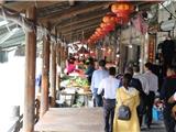 龙港市政协委员漫步白沙路 为白沙河历史文化保护工作提宝贵意见来了
