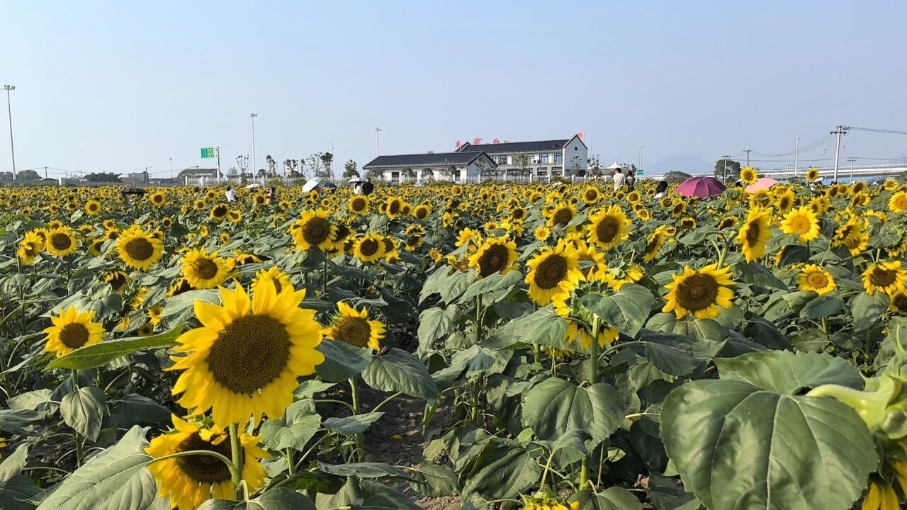 微信图片_2026-10-29_022204_273.jpg 微信图片_2026-10-29_022204_273.jpg