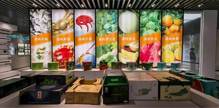 龙港40名新锐农创客赴台州五地“取经”...