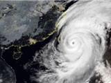 台风“蔷琵” 降为14级 ，明后天大暴雨变为小雨~~~