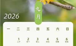 最新放假通知 拼假可达13天