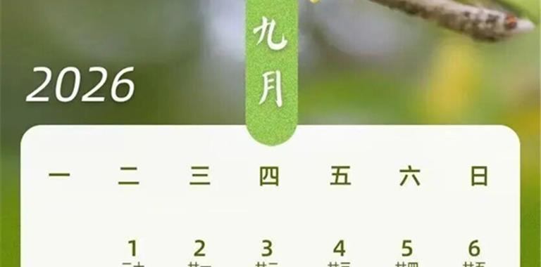 最新放假通知 拼假可达13天