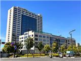 院士团队快速反应化险为夷 过敏患者点赞龙港中医院应急能力