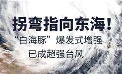拐弯指向东海！“白海豚”爆发式增强，已成超强台风