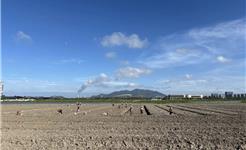 88000平方米！龙港新城全力打造生态门户新景观