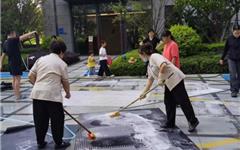 龙港市新城联合党委：文明实践润新城 便民服务暖民心