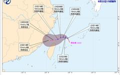 海上三个台风共舞！龙港接下来天气→
