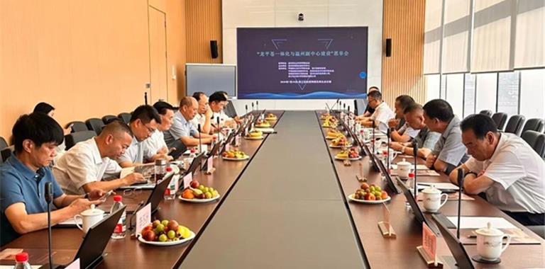 在“龙平苍一体化和温州副中心建设”思...