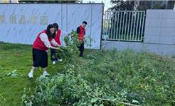 新城党委：整治小区环境 擦亮宜居底色