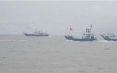 龙港220艘渔船出海逐“鲜”！再看瑞安、苍南、洞头“小开渔”大场面→