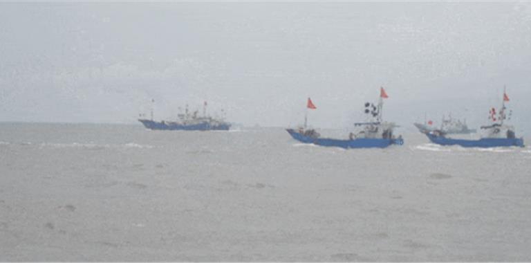 龙港220艘渔船出海逐“鲜”！再看瑞安...