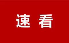 在这个夏天，和龙港来一场“双向奔赴”！