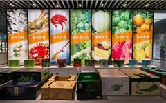 龙港40名新锐农创客赴台州五地“取经” 赋能乡村产业发展