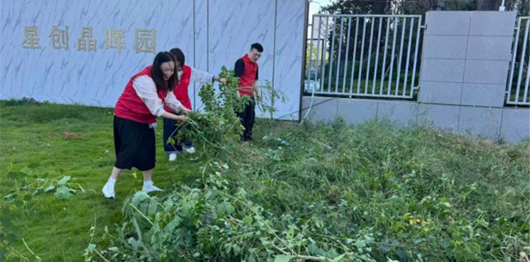 新城党委：整治小区环境 擦亮宜居底色