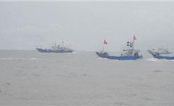 龙港220艘渔船出海逐“鲜”！再看瑞安、苍南、洞头“小开渔”大场面→