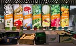 龙港40名新锐农创客赴台州五地“取经” 赋能乡村产业发展