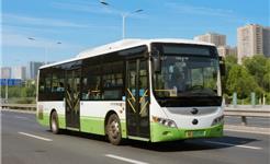 9月25日龙港公交免费坐，邀您一起绿色出行