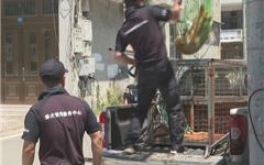 平阳出手了，流浪犬专项整治！捕捉流浪犬1131只  领养电话→