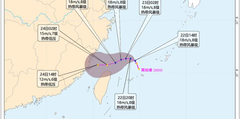 海上三个台风共舞！龙港接下来天气→